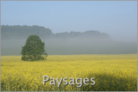 Galerie Paysages